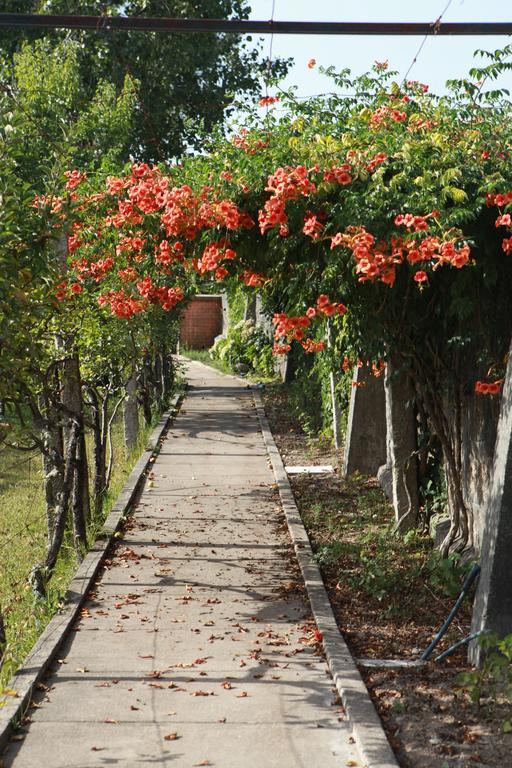 Quinta De Santo Antonio Villa Muro Eksteriør billede